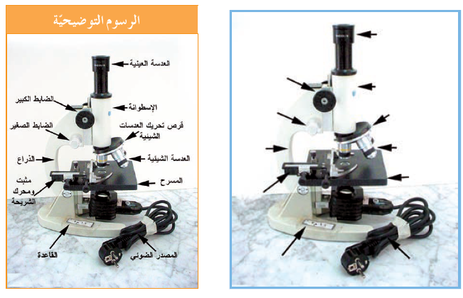 أجزاء المجهر الضوئي